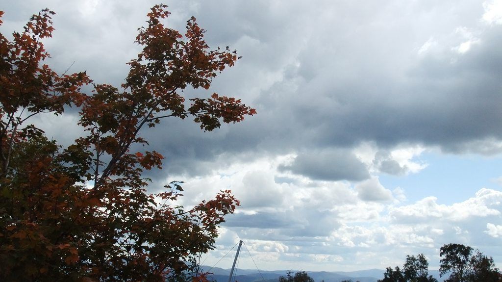 DSCF2271.jpg