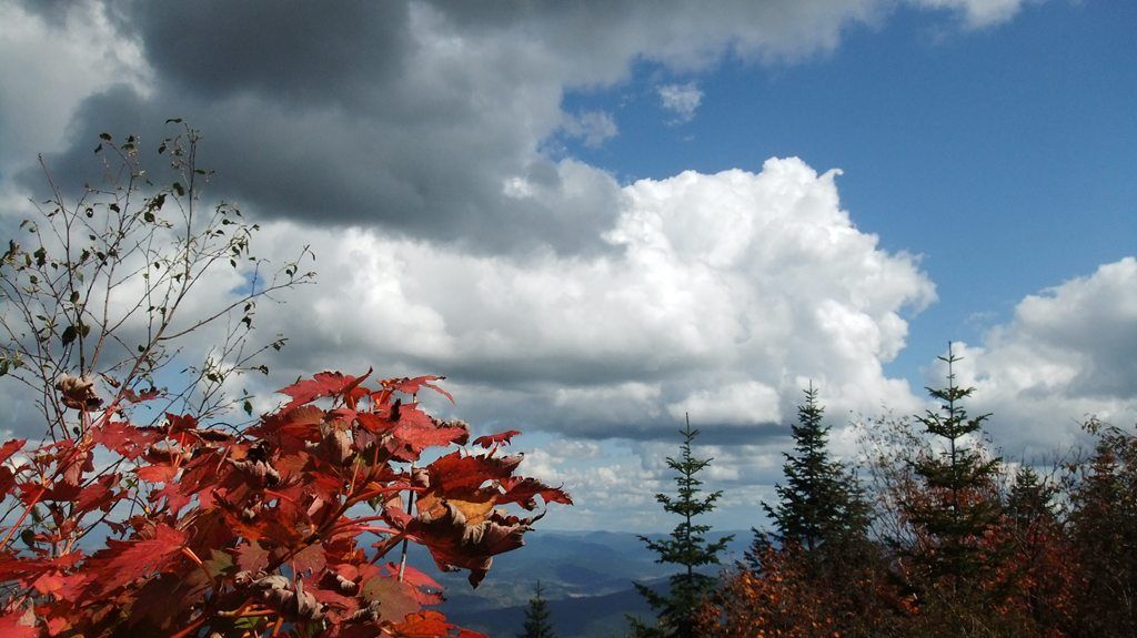DSCF2291.jpg