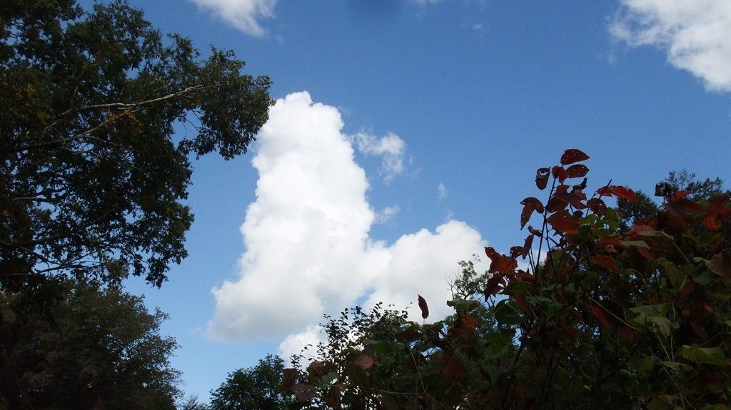 DSCF2301.jpg