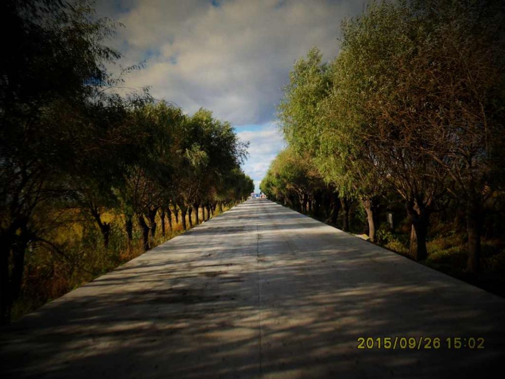 SDC10109_����.jpg