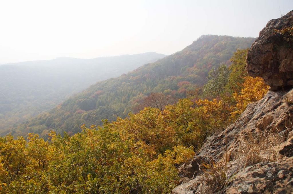 DSC09003.JPG