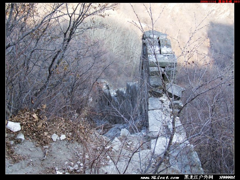 20081114_���۳���_083.jpg
