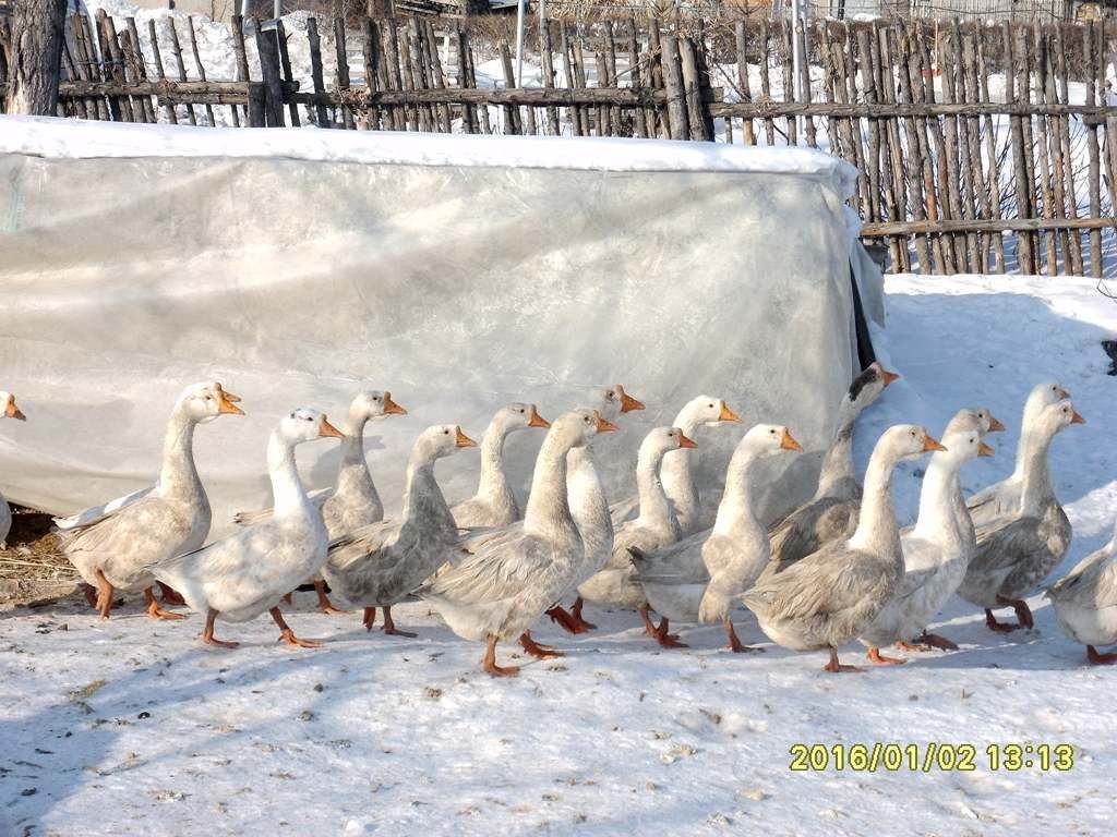 SDC12150_����.jpg