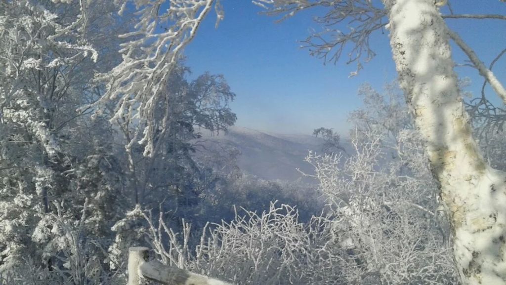 psb (14)_jpg_thumb.jpg