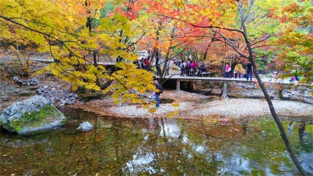 psb (7)_��ͼ��.jpg