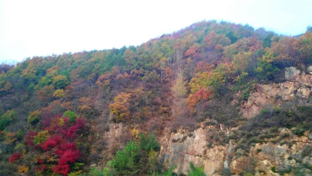 psb (14)_��ͼ��.jpg