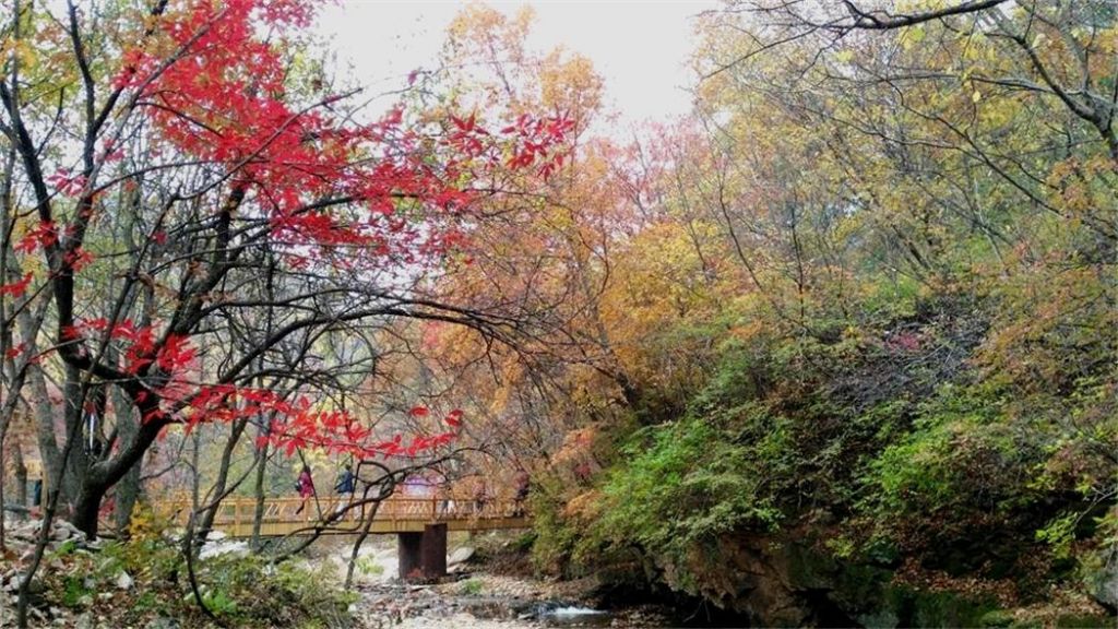 psb (24)_��ͼ��.jpg