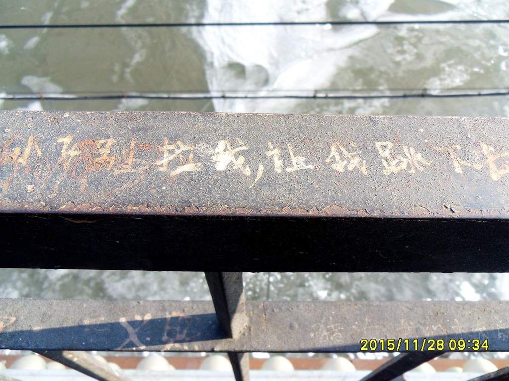 SDC11004_����.jpg