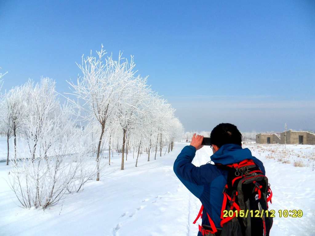 SDC11499.jpg