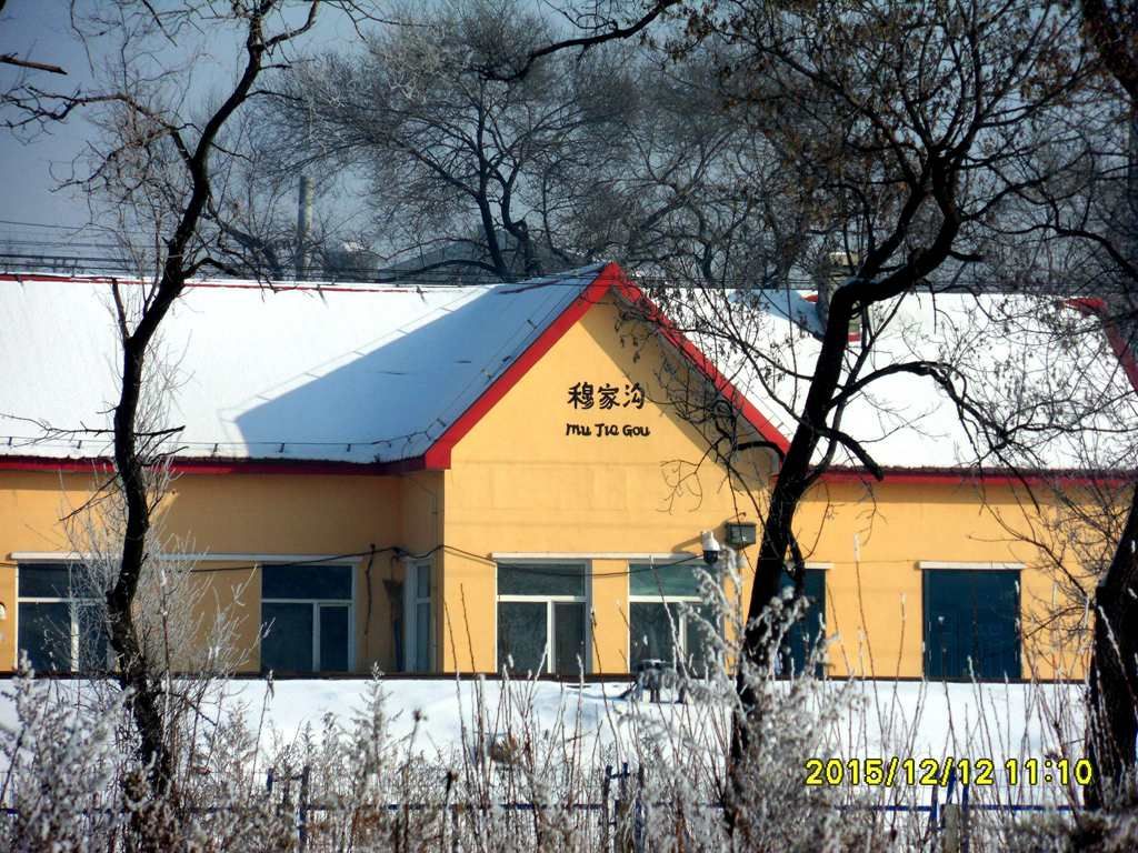 SDC11524.jpg