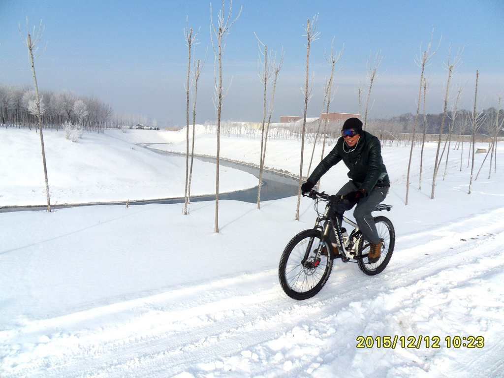 SDC11492.jpg