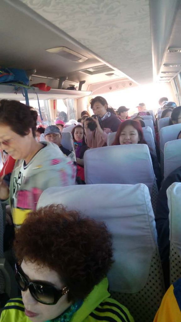 �����ĳ���