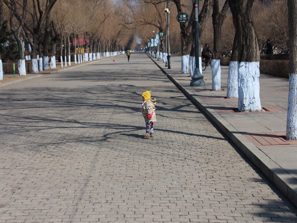 IMG_7844.jpg