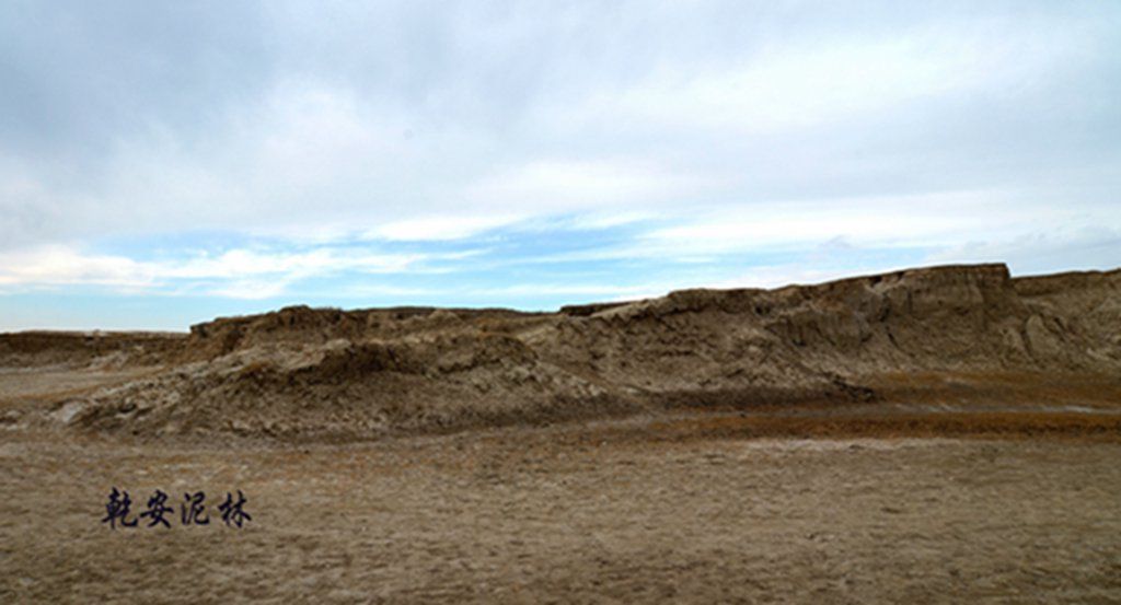 DSC_7408.JPG