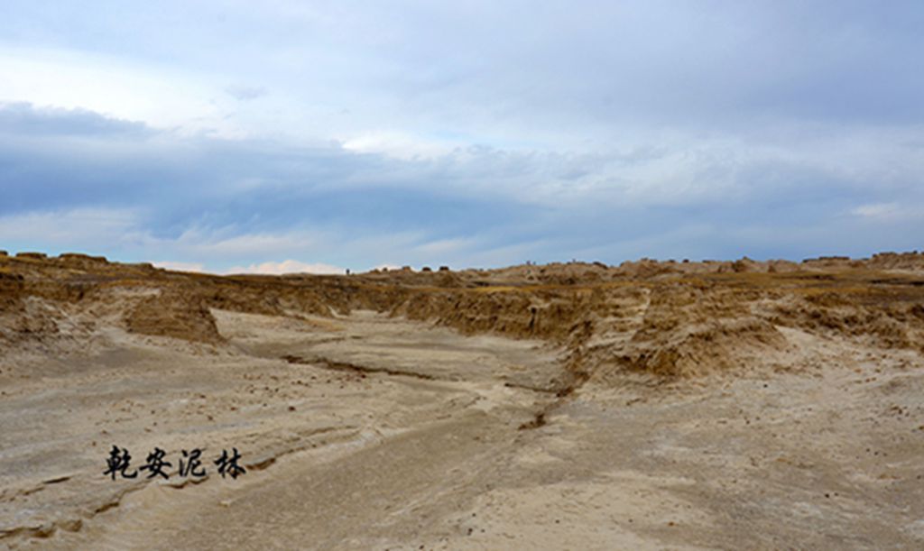 DSC_7345.JPG