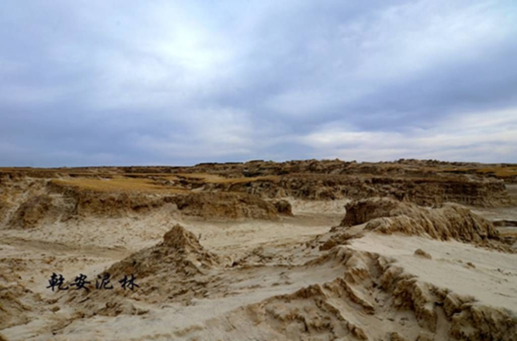 DSC_7358.JPG