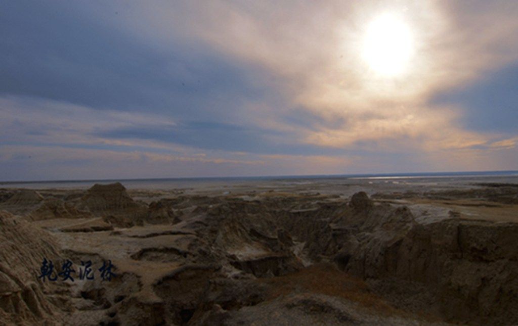 DSC_7457.JPG