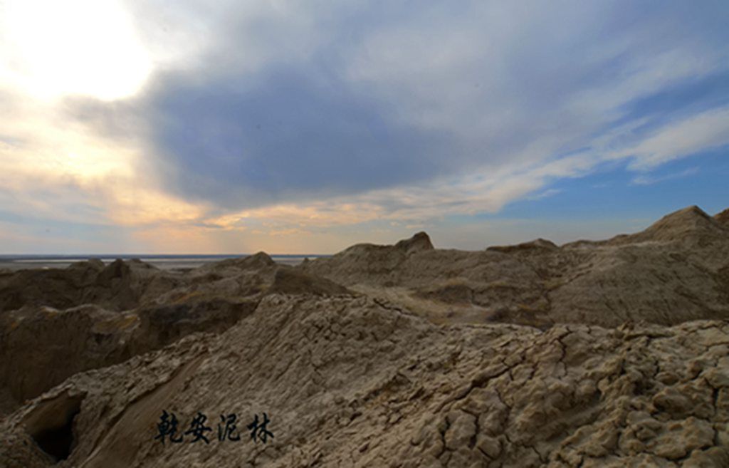 DSC_7468.JPG