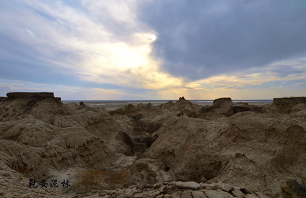 DSC_7474.JPG