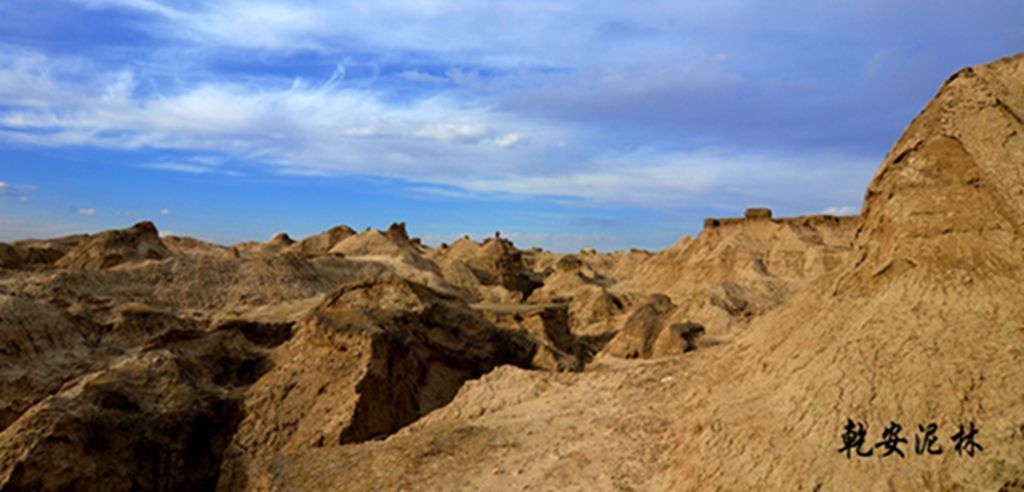 DSC_7464.JPG
