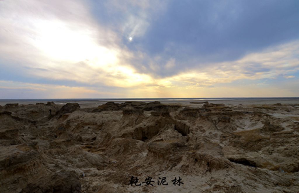 DSC_7477.JPG