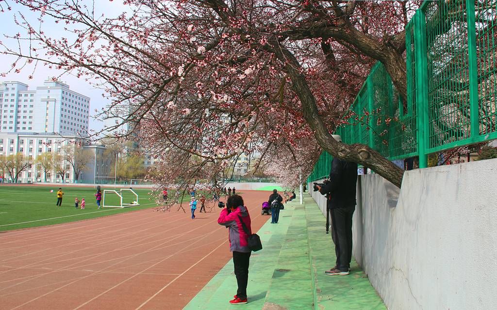 73.jpg