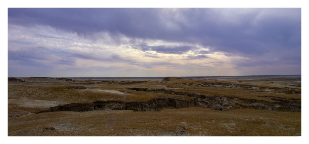 DSC_7374.JPG