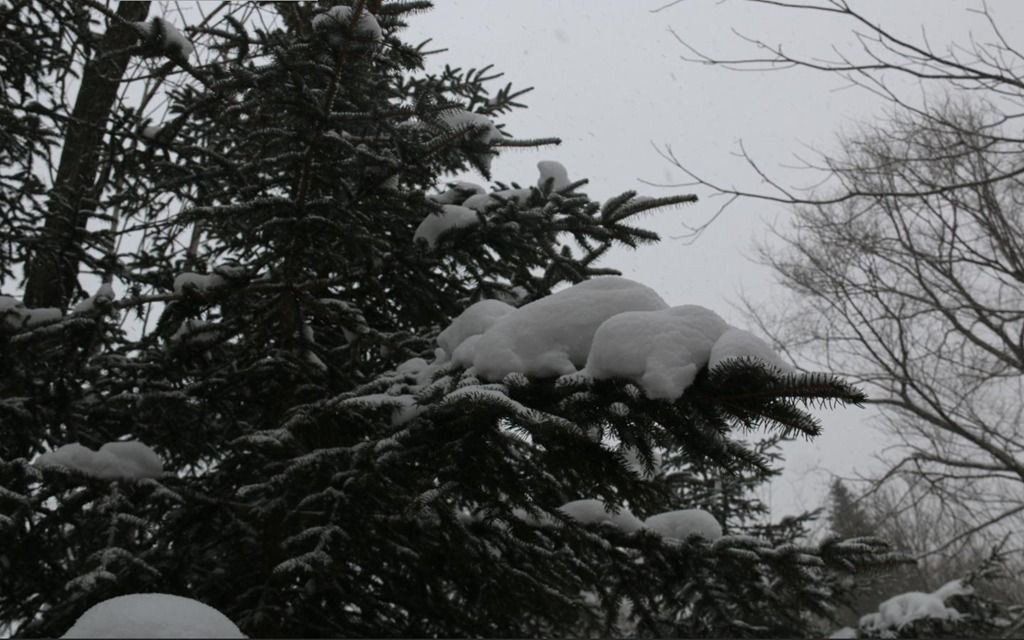 2345��ͼ20160223193428.jpg