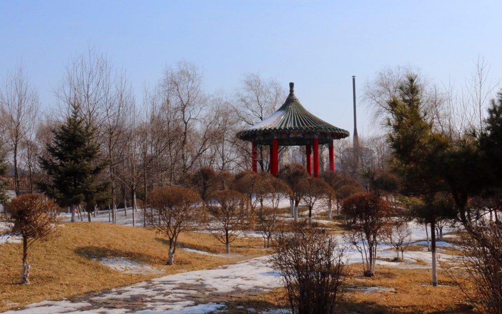 1187.jpg