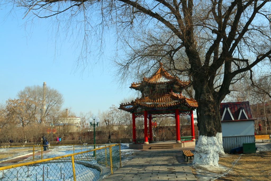 1173.jpg