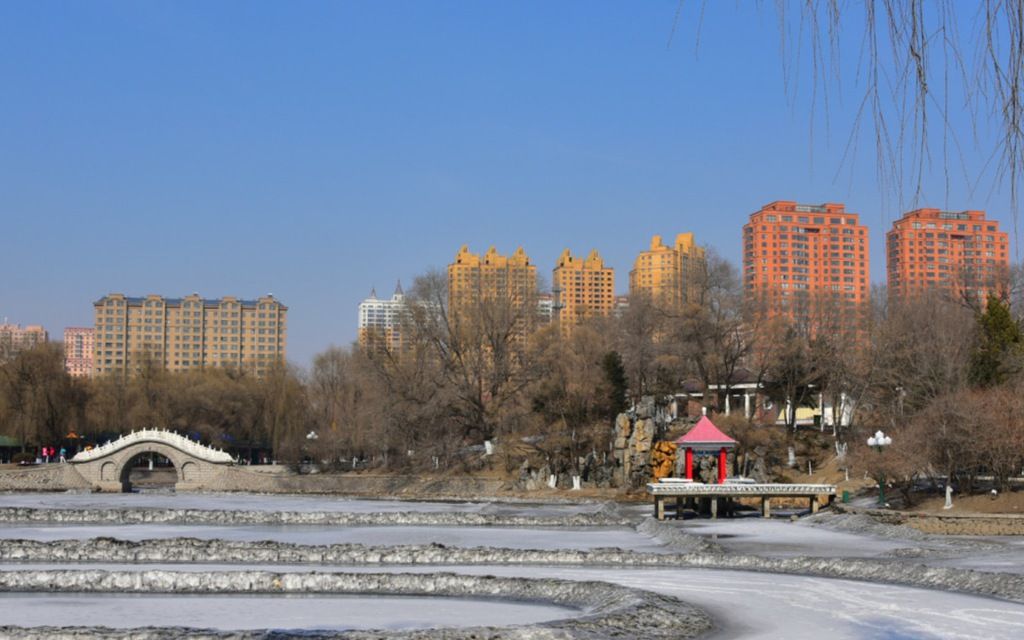 195.jpg