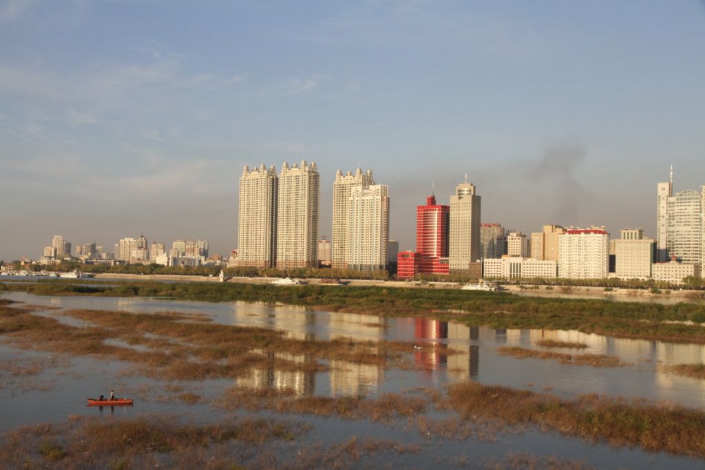 DPP_003.JPG