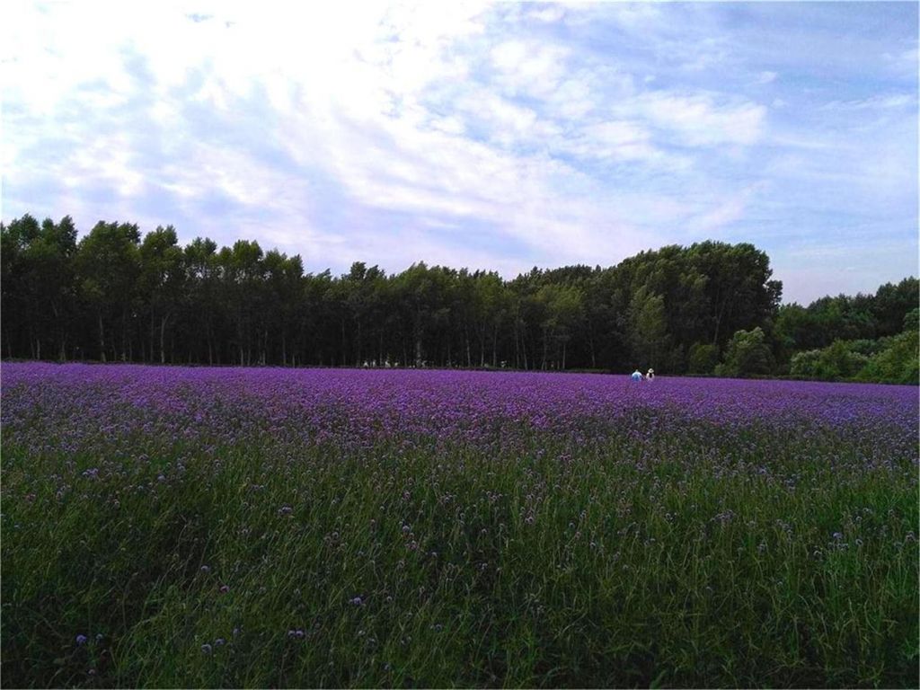 psb (2)_��ͼ��.jpg