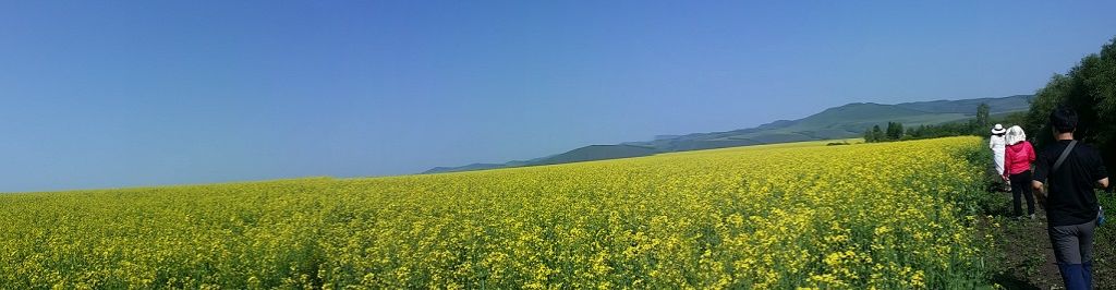 ���ױ�����Ƭ_���ױ�������_20160731_085647.jpg