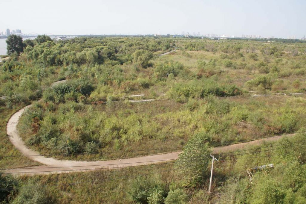 DSC07214.JPG