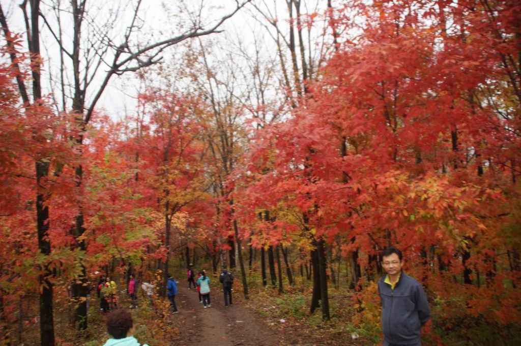 DSC09883.JPG
