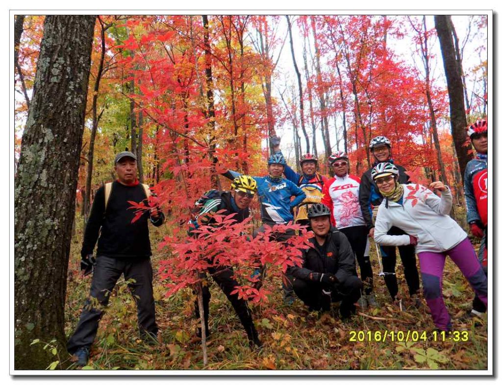 SDC17215_����.jpg