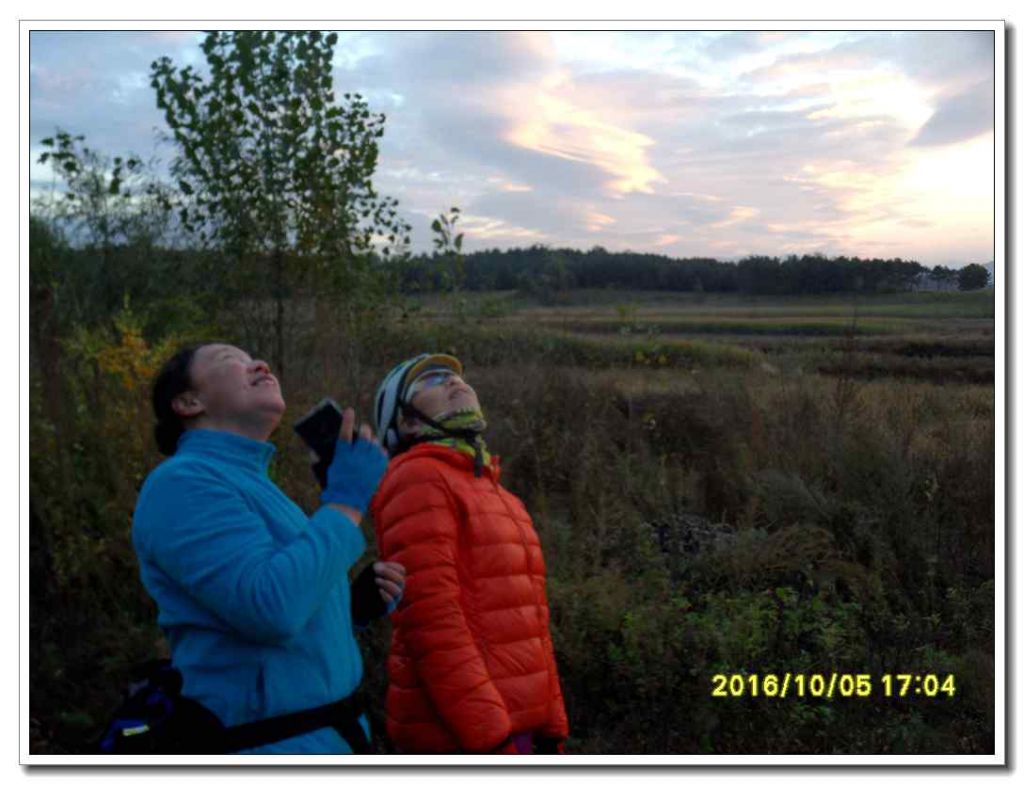 SDC17383_����.jpg