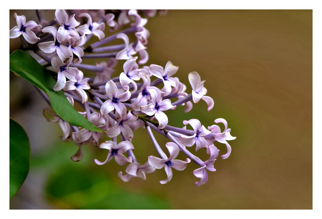 DSC_8663.JPG
