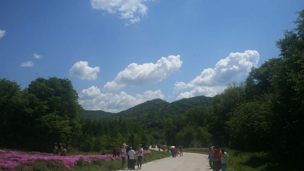 02.jpg