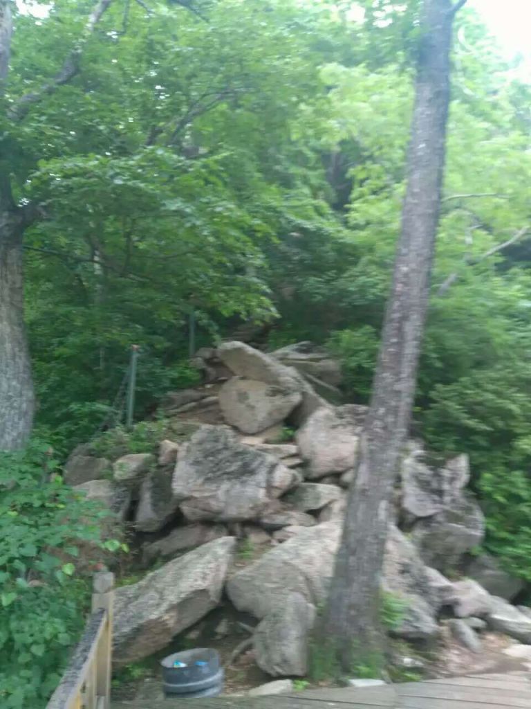 QQͼƬ20160616214153.jpg