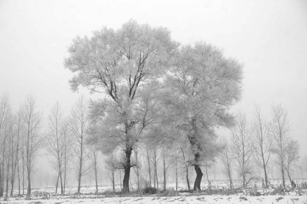 DSC09141_��ͼ��.jpg