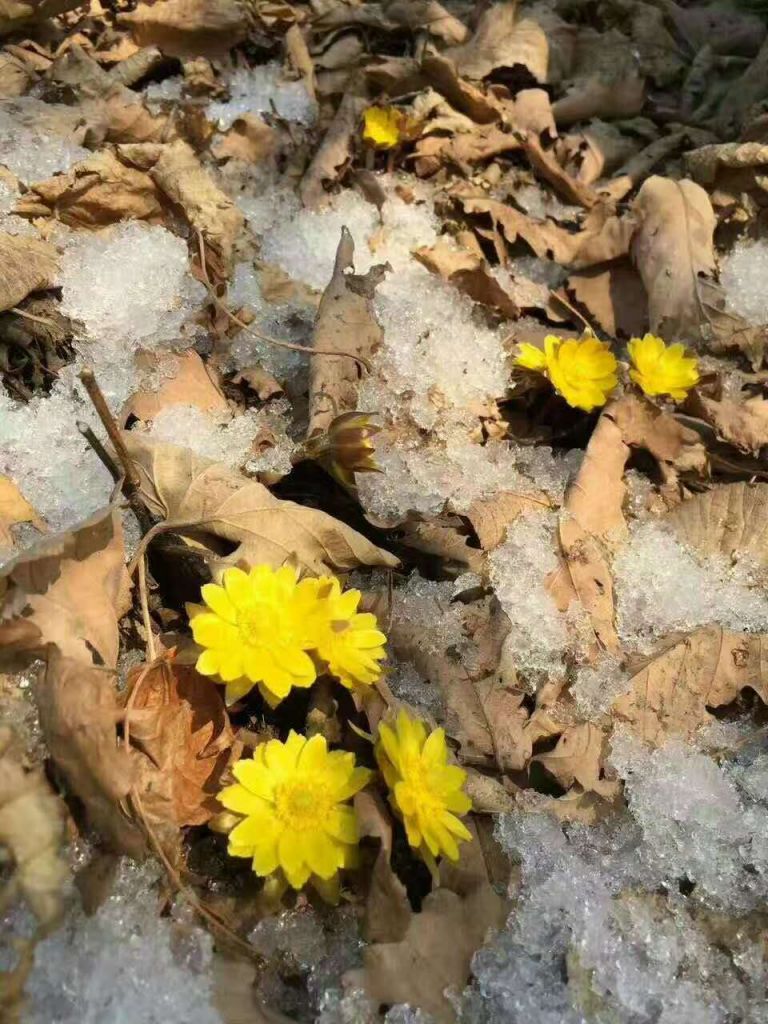 ΢��ͼƬ_20170331172054.jpg