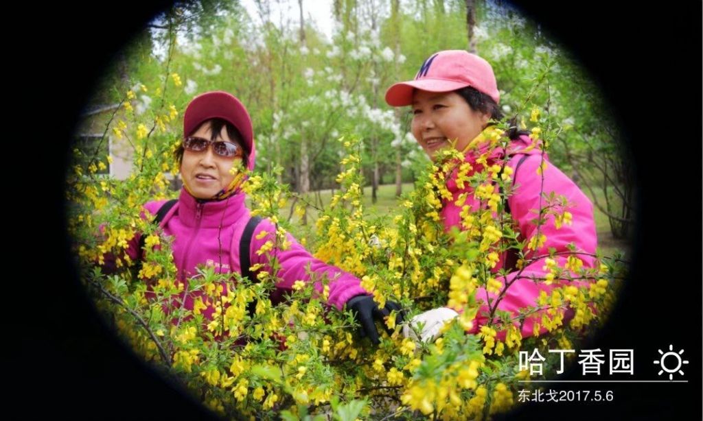 QQͼƬ20170507203249.jpg