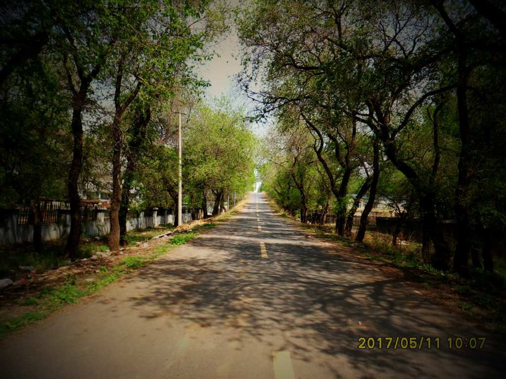 SDC10600_����.jpg