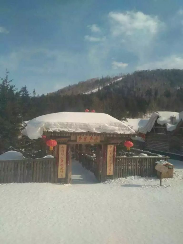 �������ٹ����Ӫѩ��ѩ��������Ӱ2017-2-18-19