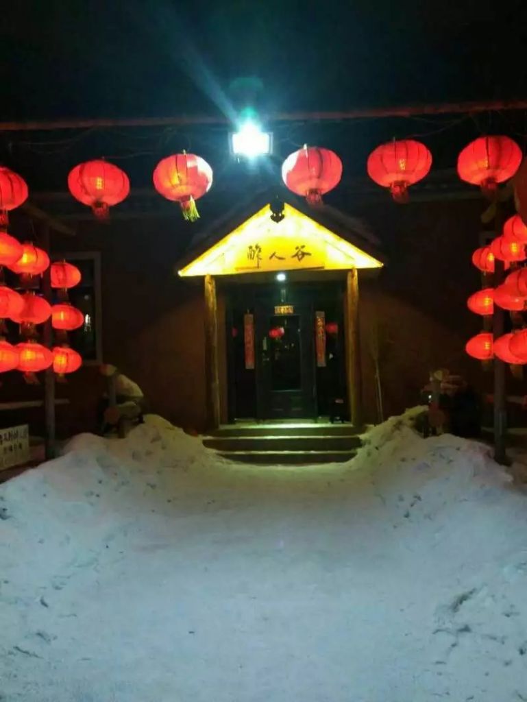 �������ٹ����Ӫѩ��ѩ��������Ӱ2017-2-18-19