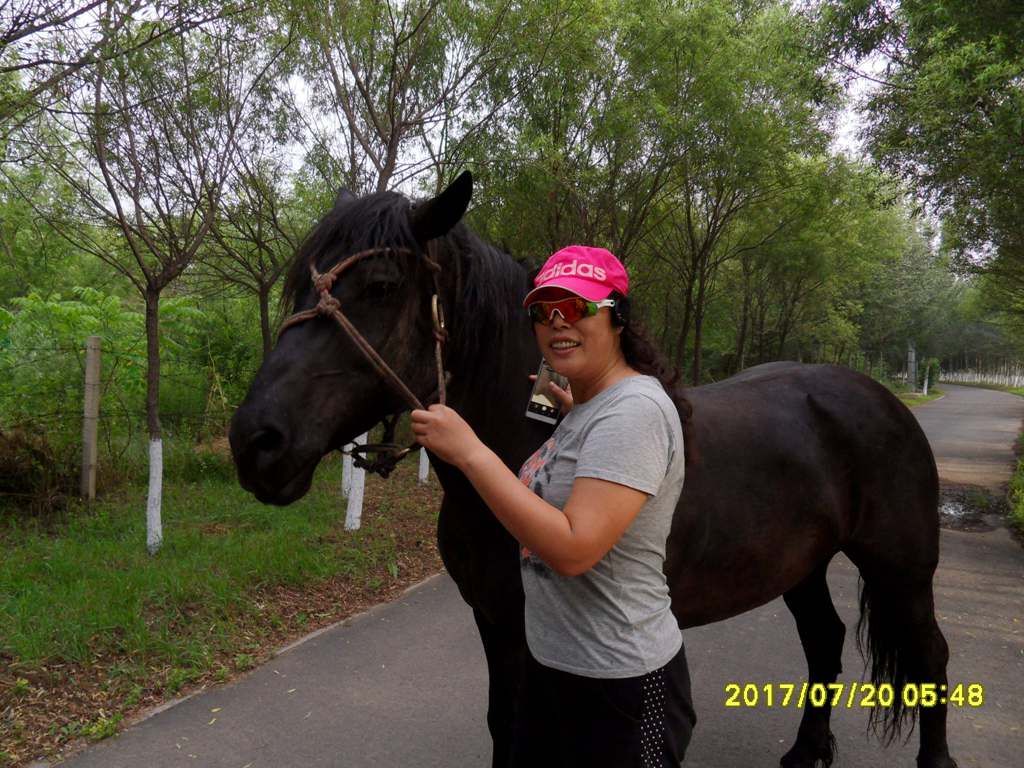 SDC11786_����.jpg