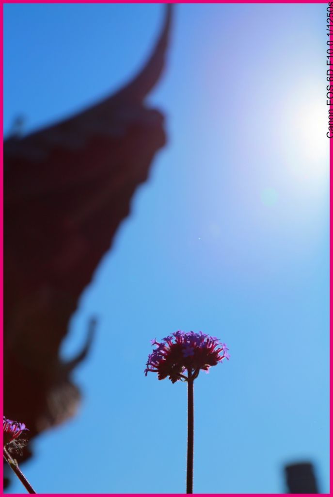 ��Ƭ 007_conew4.jpg