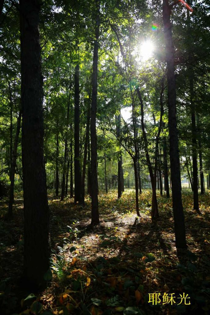 ��Ƭ 023_conew6.jpg